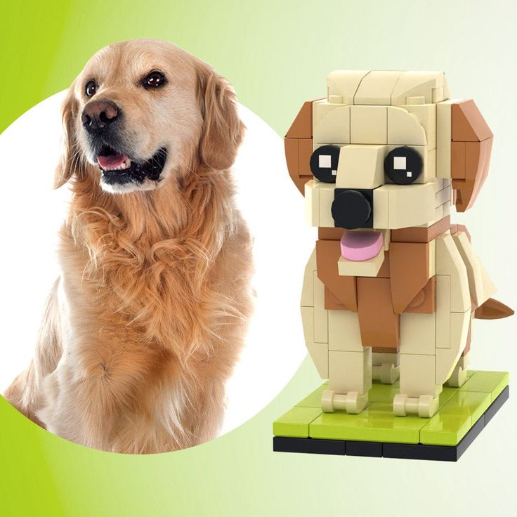 PawBricks™